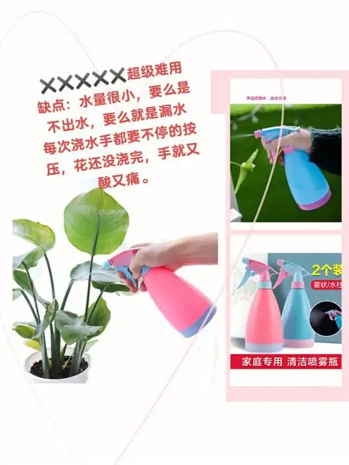 浇花水壶里的坑你走过几个呢纯个人分享