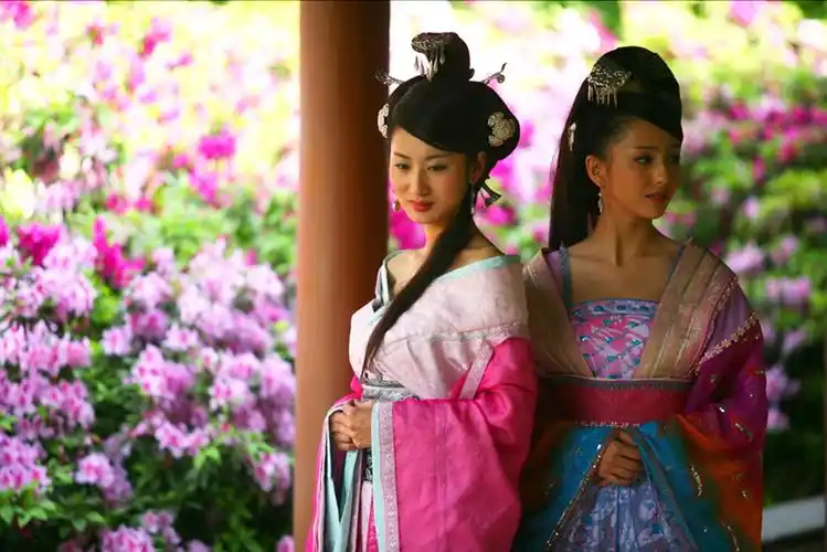 阳阿公主很喜欢这对姐妹花,倾城倾国的容貌,精湛绝伦的舞艺,能做掌上