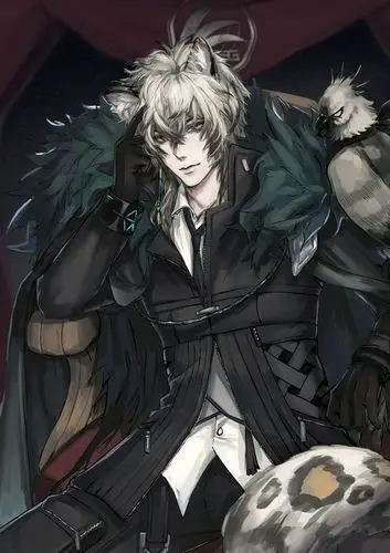 p站明日方舟图片搬运(银灰)