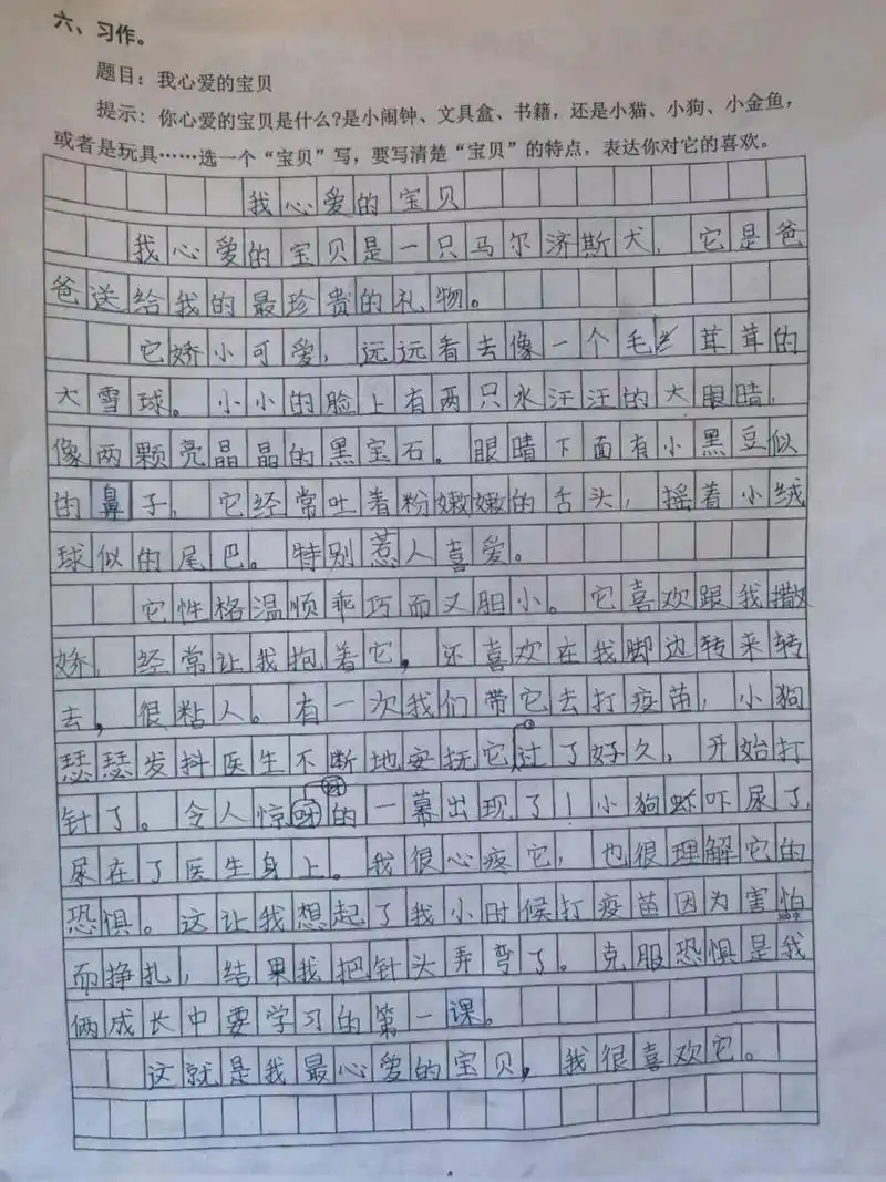 三年级上习作 我心爱的宝贝