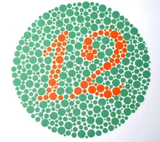 车管所常见的4张色盲图:若看不出第4张,那你视力体检过不了