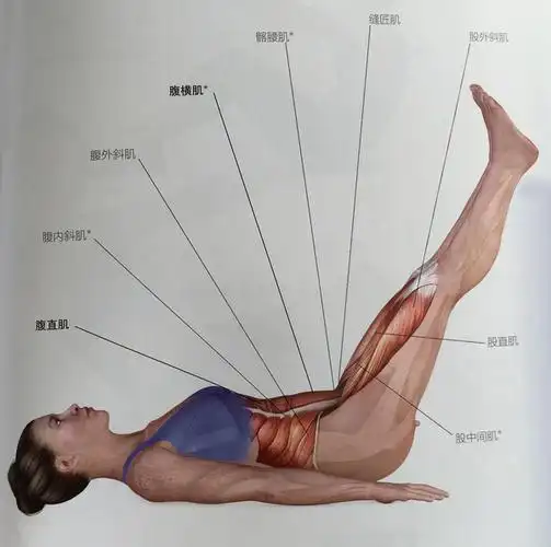 日常小锻炼-仰卧抬腿