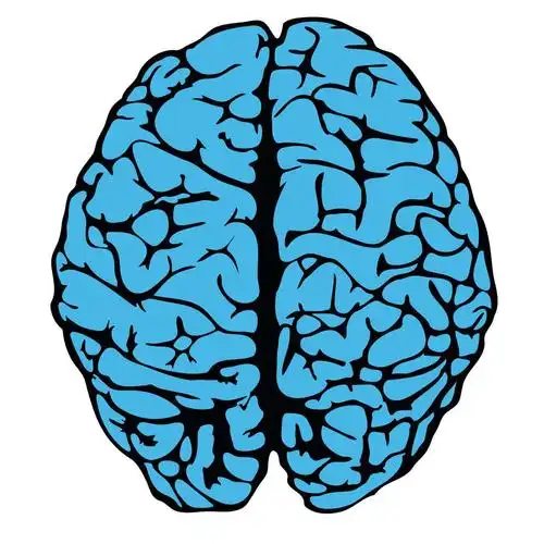 人类大脑的模型.eps10 矢量图