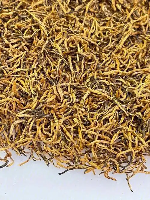 2021金骏眉芽中芽