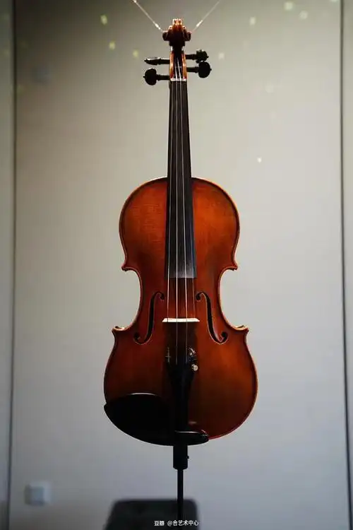 合艺术中心的相册-合·弦雅集 | 绝世名琴的中国式新"玩"