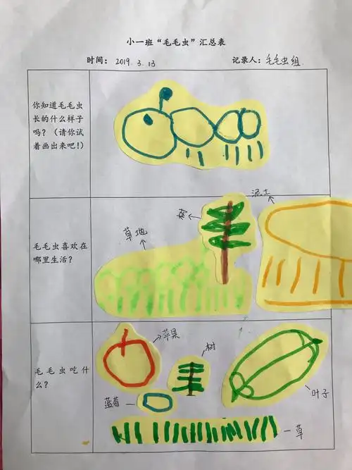 孩子们用稚拙的线条,画出了他们眼里的毛毛虫,每一个记录都是独特的