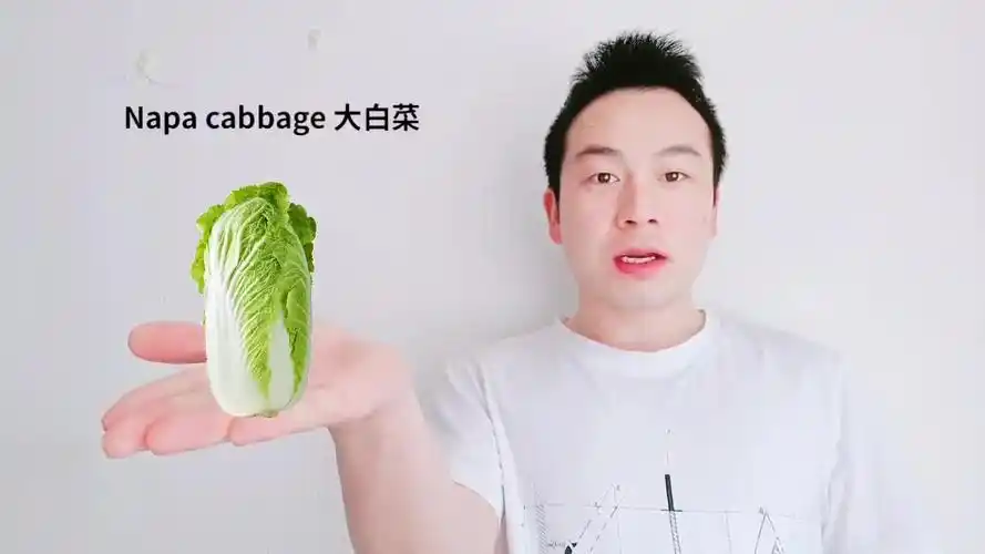 樱桃萝卜白萝卜包菜大白菜你会用英语说吗?-美食视频-搜狐视频