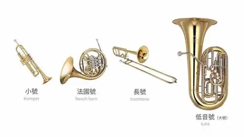 【乐器】管弦乐团乐器里都有什么点击就看歌手和声入人心.