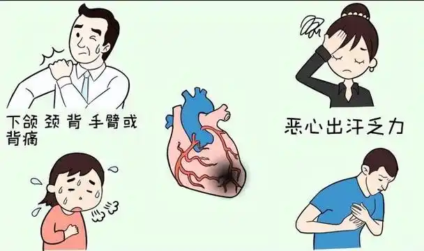 为什么来月经会头晕想吐,突然头晕,想吐,出冷汗?