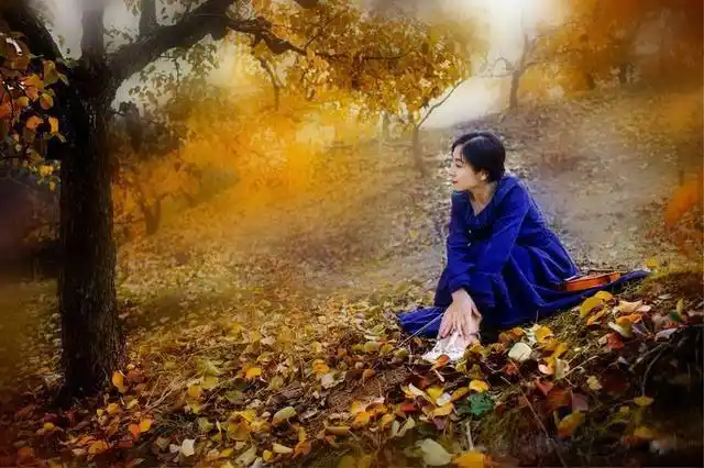 秋风落叶惹人愁