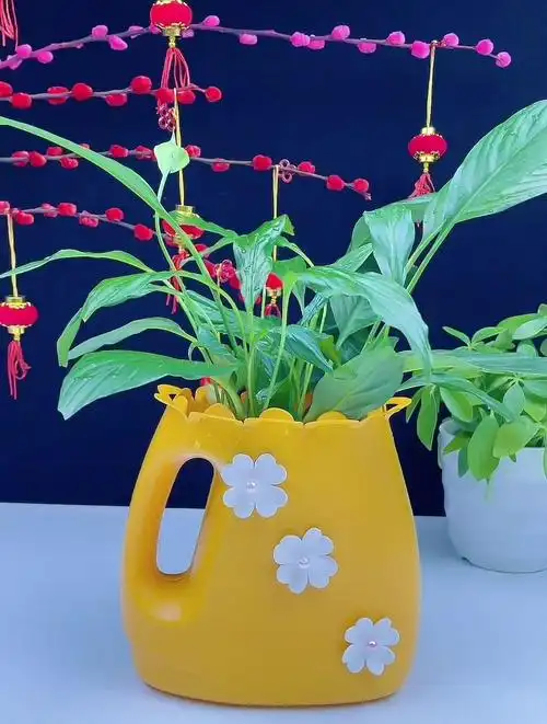 洗衣液空瓶别当废品了,做成花盆太美了吧-度小视