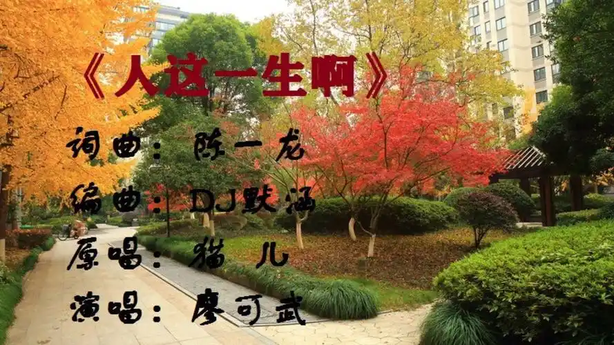 人这一生啊(音乐迷)