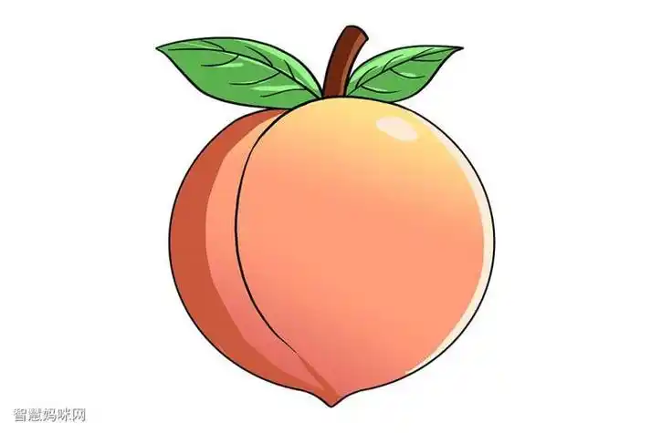桃子的简笔画可爱
