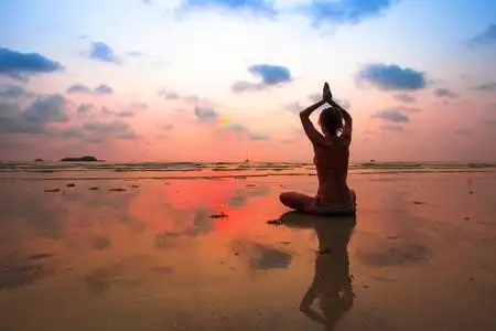 海岸上的水母图片