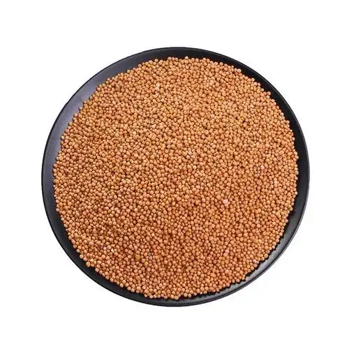 白芥子100g包邮 白介子辣菜子芥菜子白芥籽炒500g