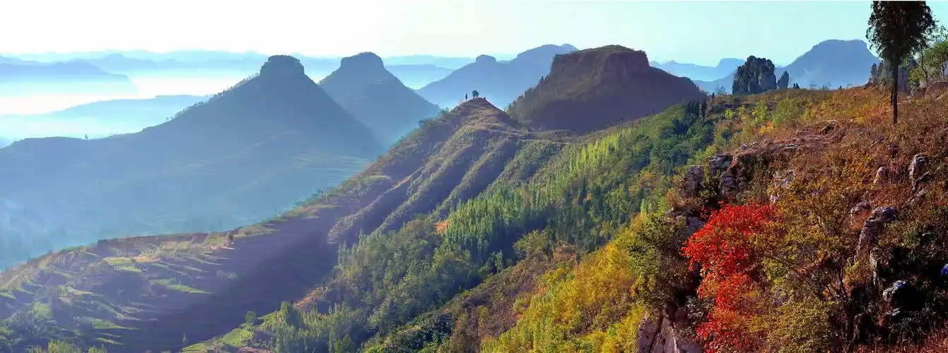 岱崮镇召开2020年度高质量发展总结表彰暨2021年工作动员大会