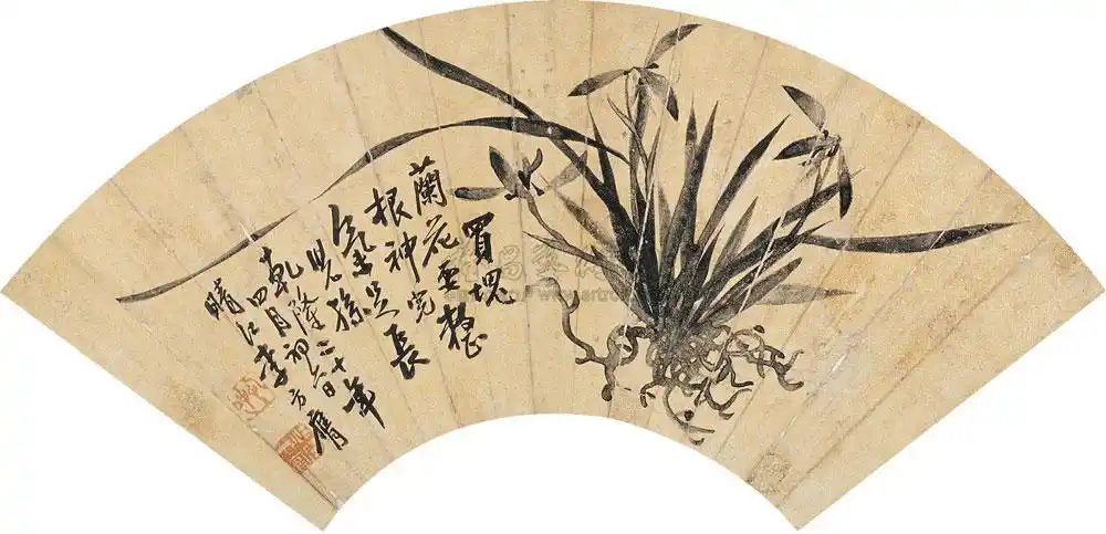 0444 兰花 扇面 水墨洒金笺