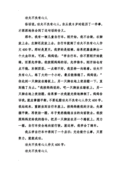 功夫不负有心人作文400字.doc