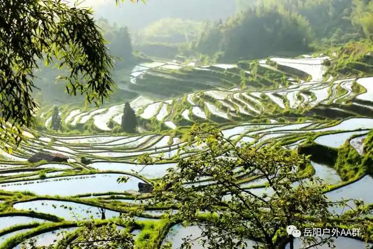 赣皖浙闽自驾游 —— 2020.