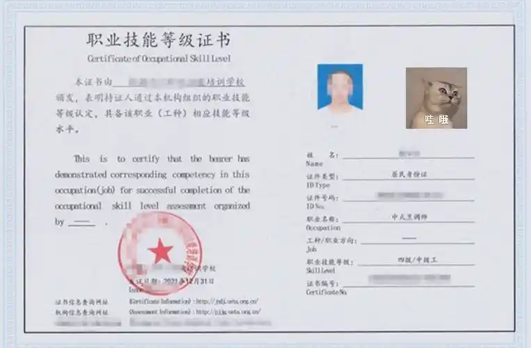 厨师证办理必备:一寸照片要求与拍照攻略_求职_职业_专业