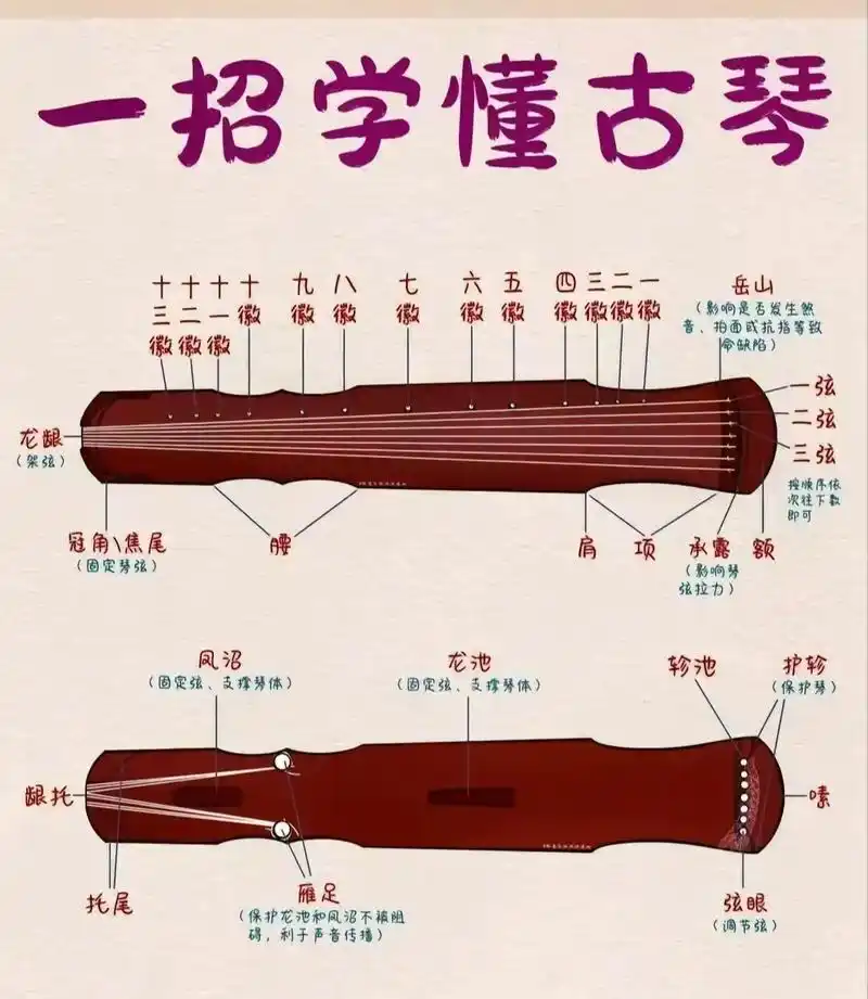 传统文化 #传承文化 #古琴,今日份分享古琴基础指法 - 抖音