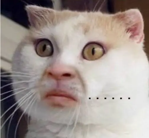 小哥哥进理发店花费近4万,眉头一皱发现事情并不简单|理发店|表情包