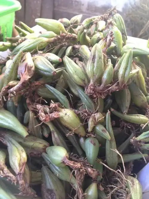 最正宗的石码五香好吃到撑哦你吃过吗