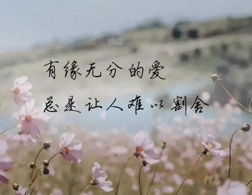 有缘无分的爱,总是让人难以割舍