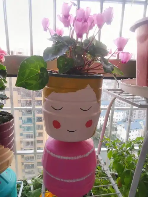 仙客来和自己diy的油桶花盆还蛮搭滴嘿嘿