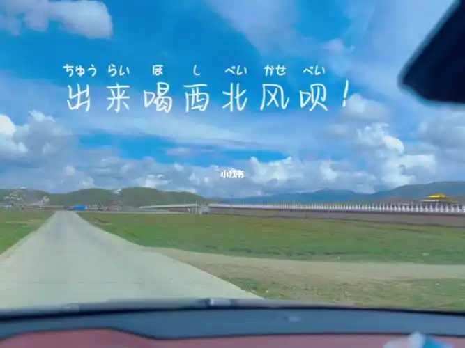 出来喝西北风了