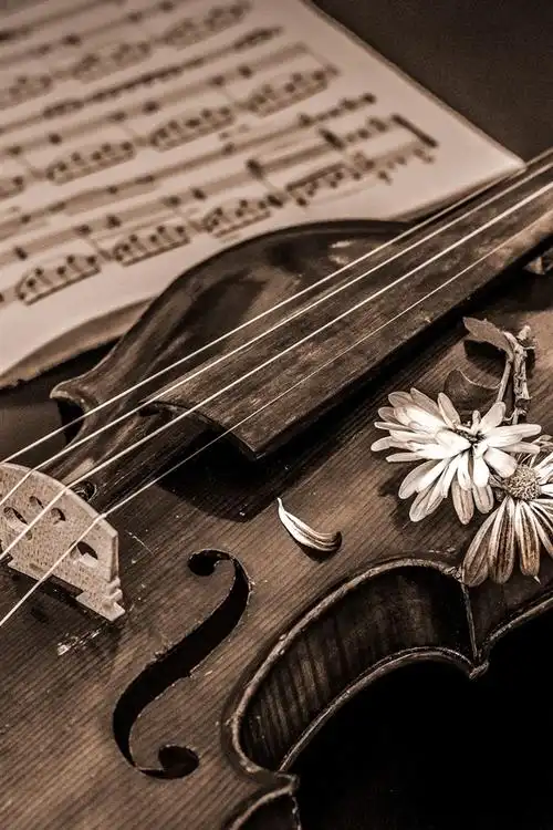壁纸 复古风格,小提琴,乐谱 1920x1200 hd 高清壁纸, 图片, 照片