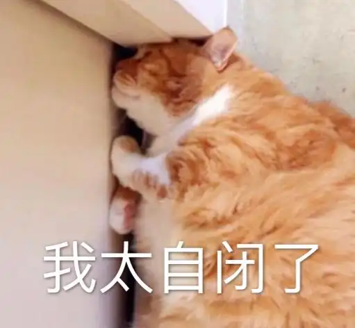 萌宠gif猫星人gif我太自闭了gif搞怪gif呆萌gif