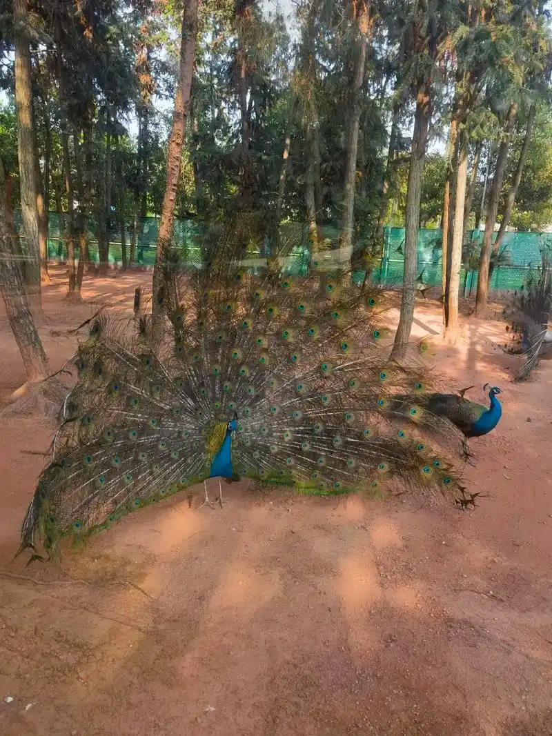 衢州姑蔑城生态园