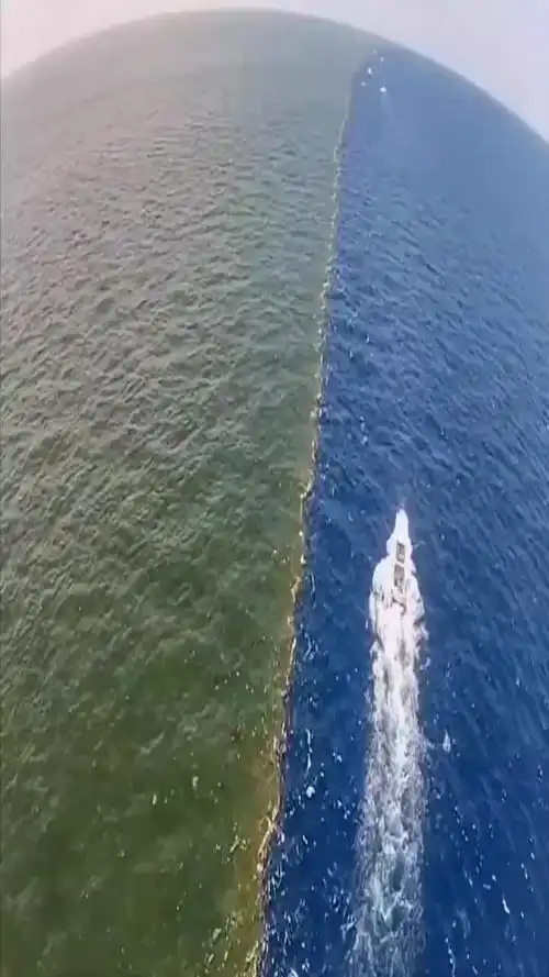 我要上热门#分享大西洋与太平洋美丽的分界线,你知道为何两个大洋的