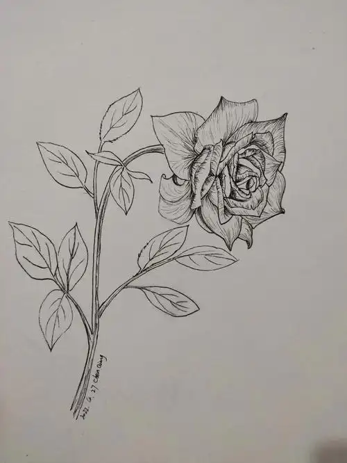 我家花也太漂亮了我画的不好看本尊太仙