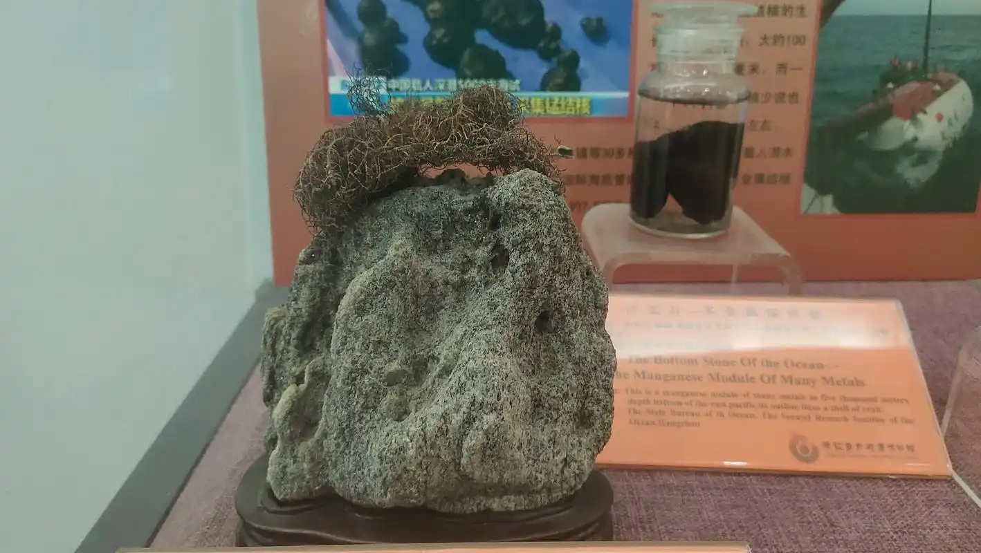 南极石—白云母石英片岩.南极石—白云母石英片岩 #纯天然奇石 - 抖音