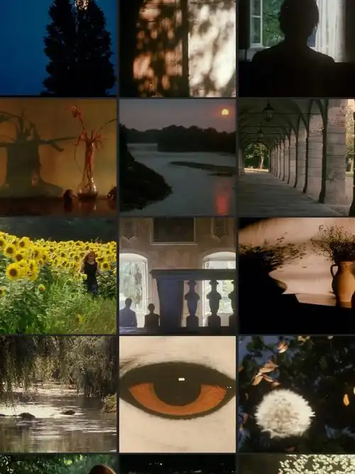 诗电影风的第一声呼吸