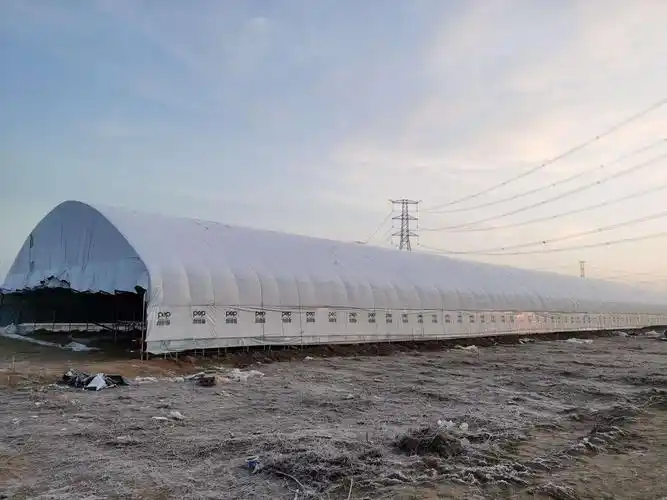 建设中的鸭棚,一个占地三亩.