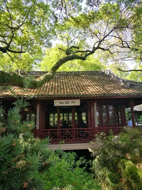 写美篇四月正值杜鹃花盛开季节,游览了上海四大名园之一松江醉白池