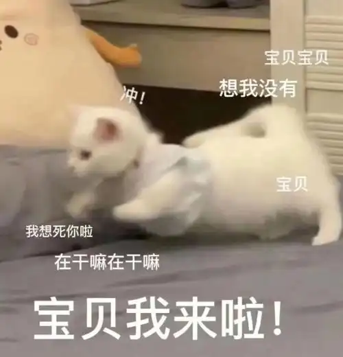 发给男朋友的表情包