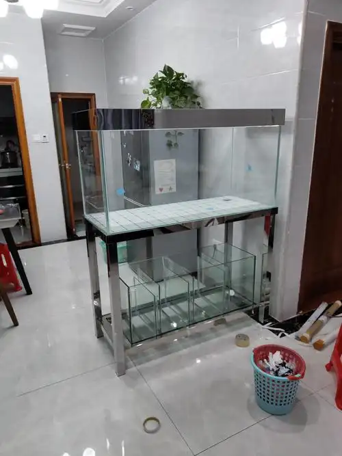 自己制作的鱼缸