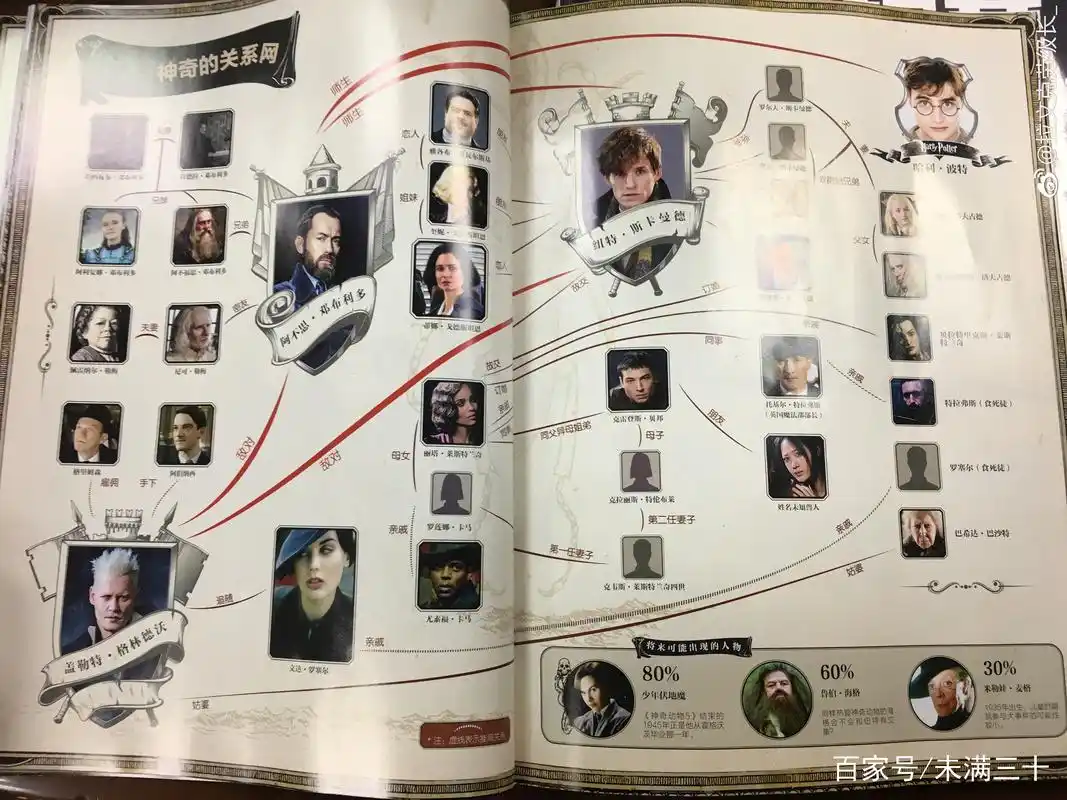 从《哈利波特》到《神奇动物在哪里》感动常在心间,附人物关系图