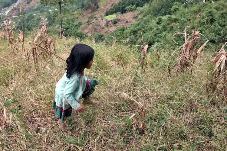 山上那个小女孩 ——薰的故事(续四)