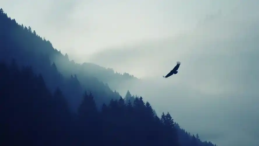 鹰带鱼屏壁纸34401440壁纸