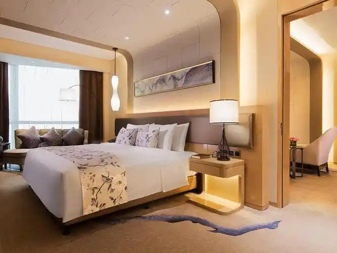 豪华套房 (deluxe suite)