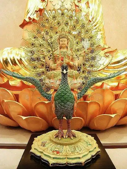 优昙的相册-孔雀明王菩萨