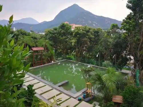 台山新会二天入住亚洲福永温泉酒店浸泡半山温泉打卡网红景点侨小馆网