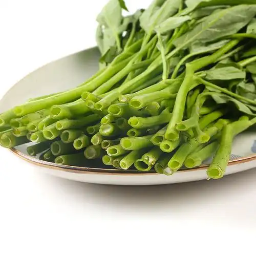 日日绿杆空心菜350g蔬菜叶菜类