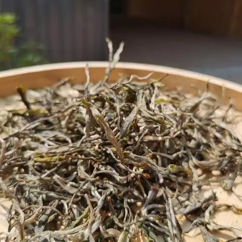 2021年古树茶勐海茶区南糯山半坡老寨普洱茶生茶散茶普洱