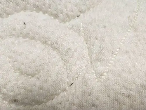 请问这是什么虫子,突然发现床上有好多